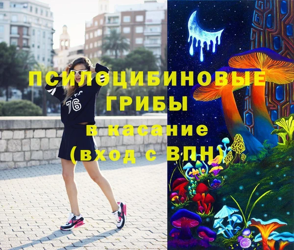 скорость Богородицк